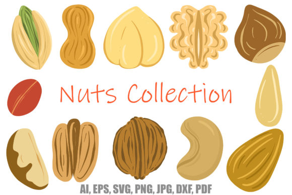 Collection Nuts and Seeds Brazil Walnut: A Premium Font for Bold Branding